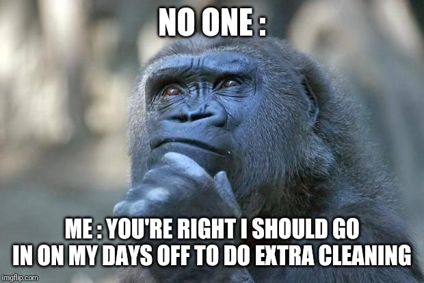 that is the question | NO ONE :; ME : YOU'RE RIGHT I SHOULD GO IN ON MY DAYS OFF TO DO EXTRA CLEANING | image tagged in that is the question | made w/ Imgflip meme maker