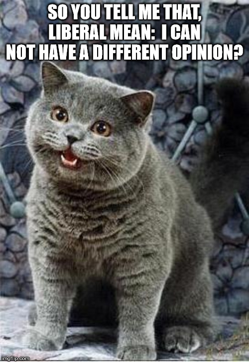 I can has cheezburger cat | SO YOU TELL ME THAT, LIBERAL MEAN:  I CAN NOT HAVE A DIFFERENT OPINION? | image tagged in i can has cheezburger cat | made w/ Imgflip meme maker