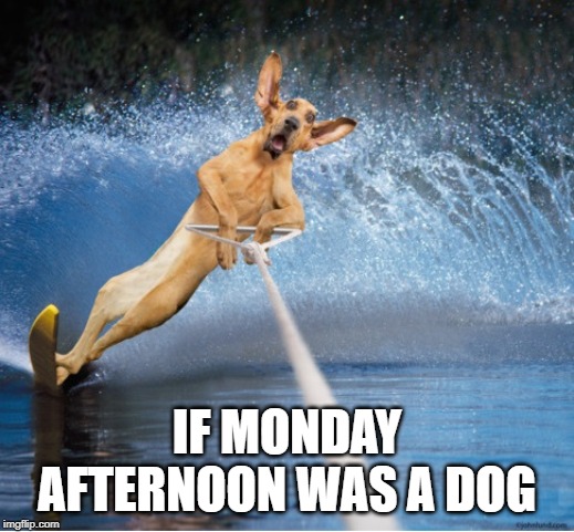 IF MONDAY AFTERNOON WAS A DOG | image tagged in funny memes | made w/ Imgflip meme maker