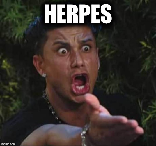 You gave me | HERPES | image tagged in jersey shore,std | made w/ Imgflip meme maker