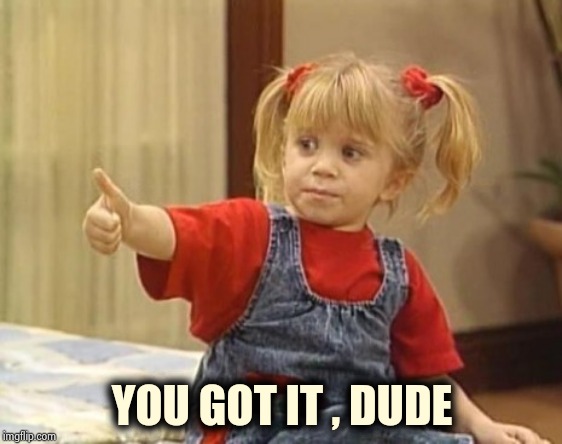 You got it... | YOU GOT IT , DUDE | image tagged in you got it | made w/ Imgflip meme maker
