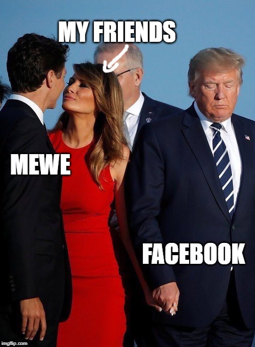 Jealous Trump is Facebook | MY FRIENDS; MEWE; FACEBOOK | image tagged in donald trump,trump,melania trump,best memes | made w/ Imgflip meme maker