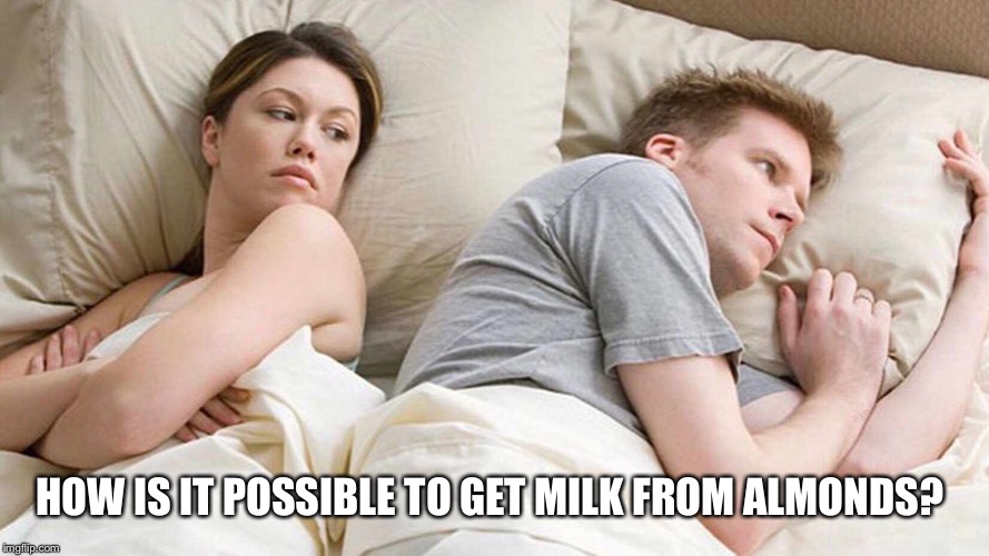 I Bet He's Thinking About Other Women Meme | HOW IS IT POSSIBLE TO GET MILK FROM ALMONDS? | image tagged in i bet he's thinking about other women | made w/ Imgflip meme maker