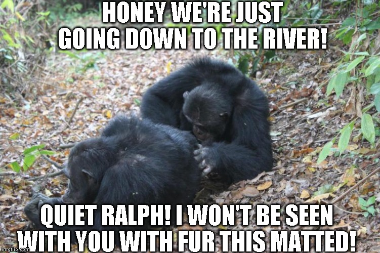 And as every man knows, anything said next will be hel against you | HONEY WE'RE JUST GOING DOWN TO THE RIVER! QUIET RALPH! I WON'T BE SEEN WITH YOU WITH FUR THIS MATTED! | image tagged in nagging,just a joke,picking random photos | made w/ Imgflip meme maker