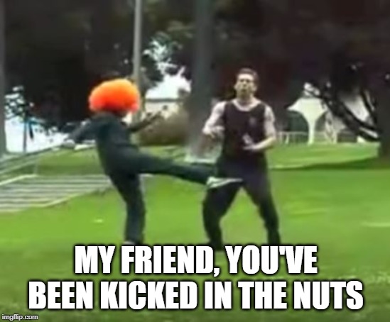 KICKED IN THE NUTS!!! | MY FRIEND, YOU'VE BEEN KICKED IN THE NUTS | image tagged in kicked in the nuts | made w/ Imgflip meme maker