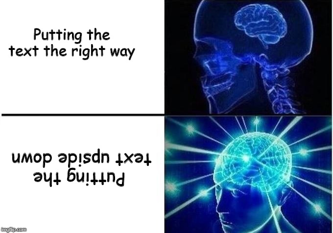 Expanding Brain Two Frames | Putting the text the right way; Putting the text upside down | image tagged in expanding brain two frames | made w/ Imgflip meme maker
