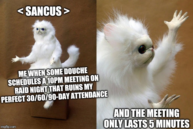 Persian Cat Room Guardian Meme | < SANCUS >; ME WHEN SOME DOUCHE SCHEDULES A 10PM MEETING ON RAID NIGHT THAT RUINS MY PERFECT 30/60/90-DAY ATTENDANCE; AND THE MEETING ONLY LASTS 5 MINUTES | image tagged in memes,persian cat room guardian | made w/ Imgflip meme maker
