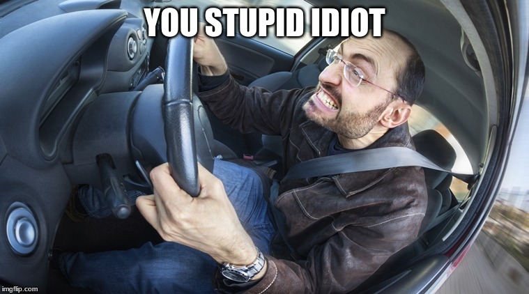 angry driver | YOU STUPID IDIOT | image tagged in angry driver | made w/ Imgflip meme maker