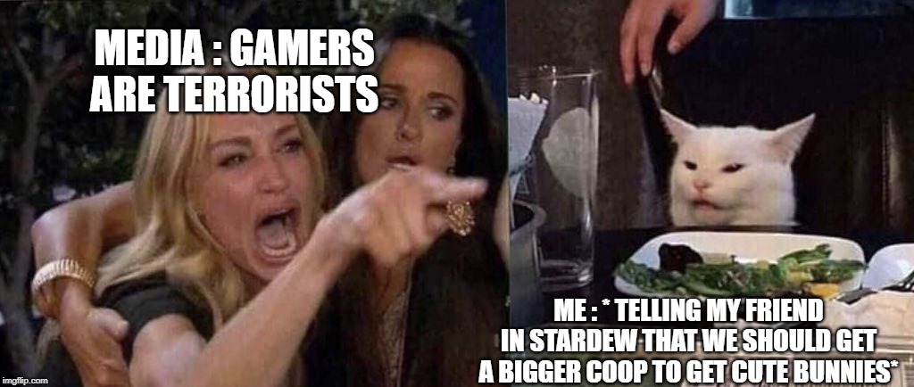 woman yelling at cat | MEDIA : GAMERS ARE TERRORISTS; ME : * TELLING MY FRIEND IN STARDEW THAT WE SHOULD GET A BIGGER COOP TO GET CUTE BUNNIES* | image tagged in woman yelling at cat | made w/ Imgflip meme maker