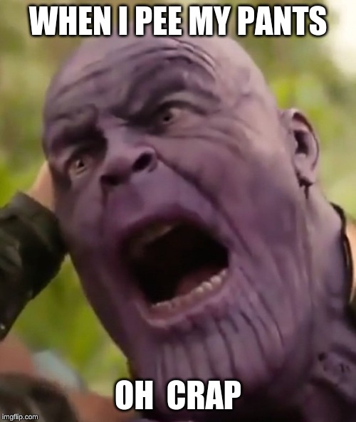 Thanos Scream | WHEN I PEE MY PANTS; OH  CRAP | image tagged in thanos scream | made w/ Imgflip meme maker