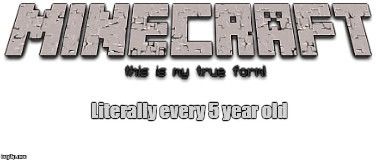 Literally every 5 year old | image tagged in minecraft | made w/ Imgflip meme maker