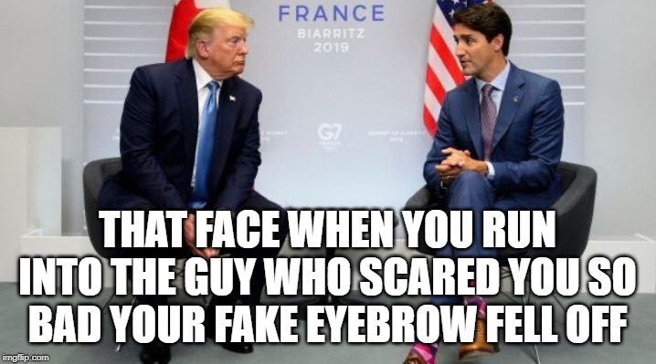 Trump vs Trudeau | THAT FACE WHEN YOU RUN INTO THE GUY WHO SCARED YOU SO BAD YOUR FAKE EYEBROW FELL OFF | image tagged in trump vs trudeau | made w/ Imgflip meme maker