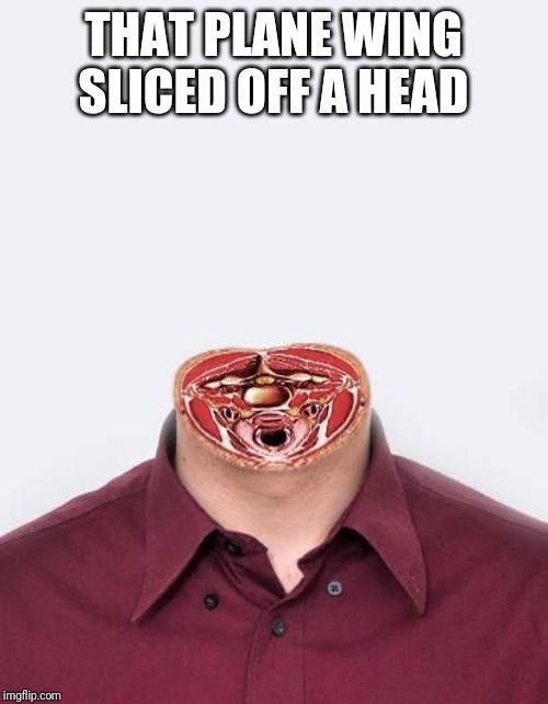 DECAPITATED MIKE | THAT PLANE WING SLICED OFF A HEAD | image tagged in decapitated mike | made w/ Imgflip meme maker