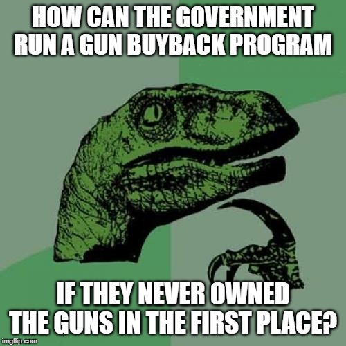 Philosoraptor | HOW CAN THE GOVERNMENT RUN A GUN BUYBACK PROGRAM; IF THEY NEVER OWNED THE GUNS IN THE FIRST PLACE? | image tagged in memes,philosoraptor | made w/ Imgflip meme maker