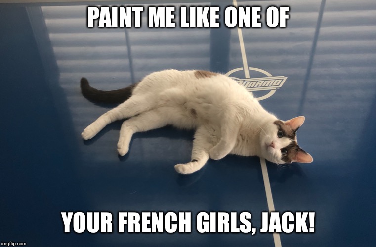 PAINT ME LIKE ONE OF; YOUR FRENCH GIRLS, JACK! | image tagged in cats,funny memes,draw me like one of your french girls,cat,cat life,air hockey | made w/ Imgflip meme maker