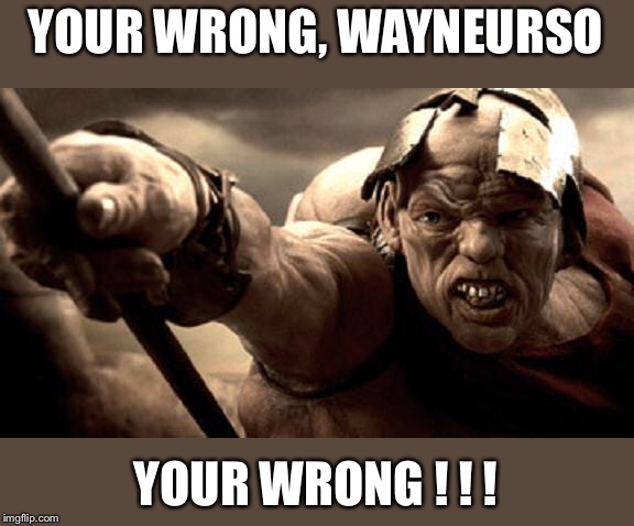 YOUR WRONG, WAYNEURSO YOUR WRONG ! ! ! | made w/ Imgflip meme maker