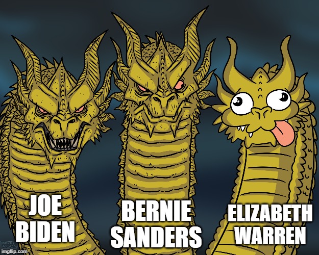 The Top 3 Democrats - 2020 | JOE BIDEN; BERNIE SANDERS; ELIZABETH WARREN | image tagged in king ghidorah,election 2020 | made w/ Imgflip meme maker