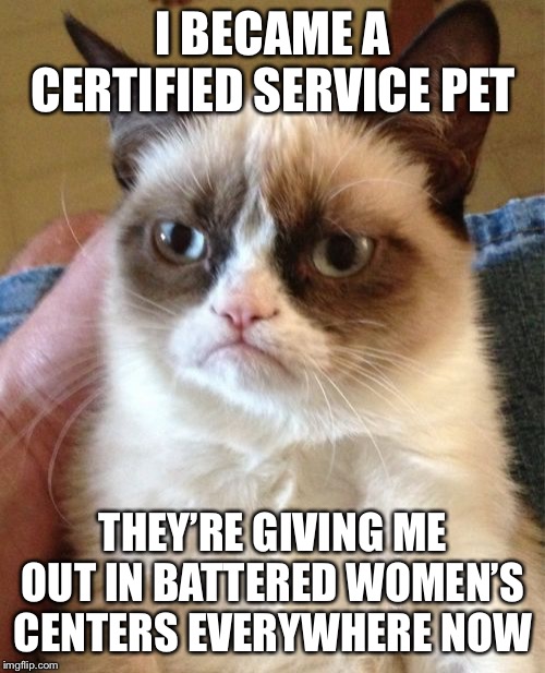 Grumpy Cat Meme | I BECAME A CERTIFIED SERVICE PET THEY’RE GIVING ME OUT IN BATTERED WOMEN’S CENTERS EVERYWHERE NOW | image tagged in memes,grumpy cat | made w/ Imgflip meme maker