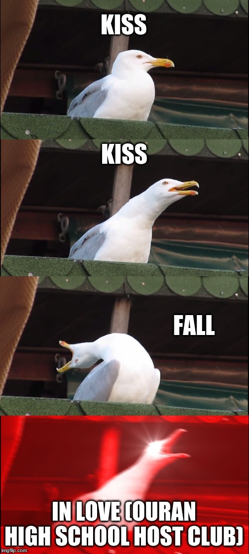 Inhaling Seagull | KISS; KISS; FALL; IN LOVE (OURAN HIGHSCHOOL HOST CLUB) | image tagged in memes,inhaling seagull | made w/ Imgflip meme maker