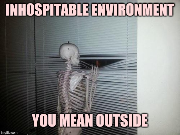 Shy skeleton | INHOSPITABLE ENVIRONMENT; YOU MEAN OUTSIDE | image tagged in skeleton looking out window | made w/ Imgflip meme maker