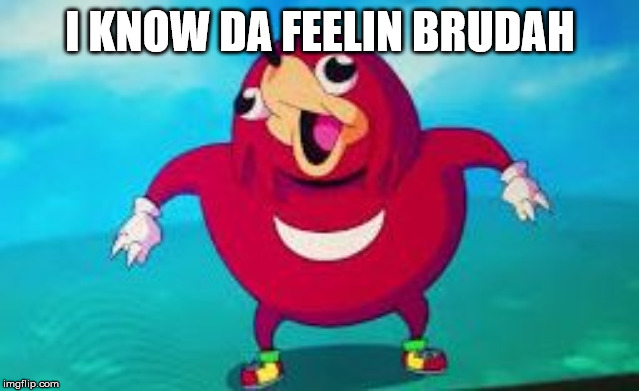 do you know da wae | I KNOW DA FEELIN BRUDAH | image tagged in do you know da wae | made w/ Imgflip meme maker