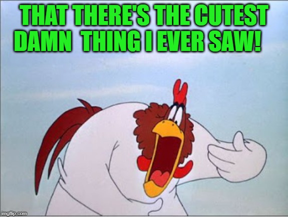 foghorn | THAT THERE'S THE CUTEST DAMN  THING I EVER SAW! | image tagged in foghorn | made w/ Imgflip meme maker
