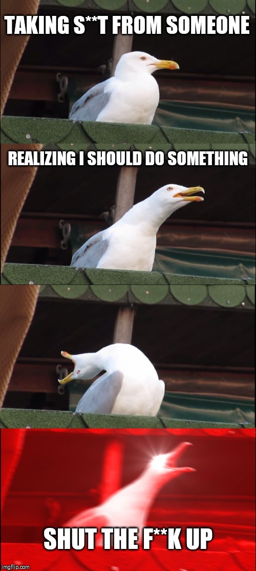 Inhaling Seagull | TAKING S**T FROM SOMEONE; REALIZING I SHOULD DO SOMETHING; SHUT THE F**K UP | image tagged in memes,inhaling seagull | made w/ Imgflip meme maker