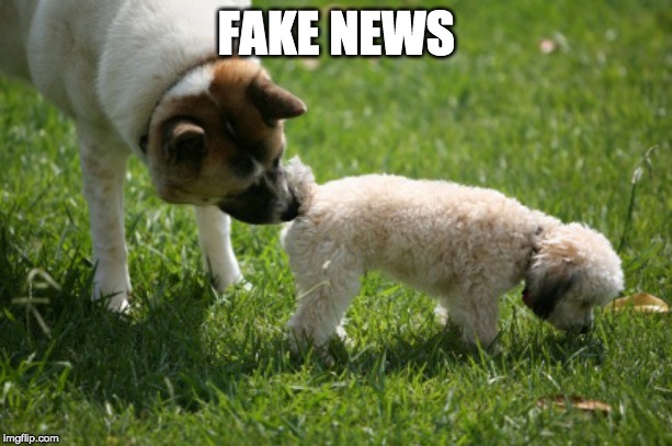 FAKE NEWS | made w/ Imgflip meme maker