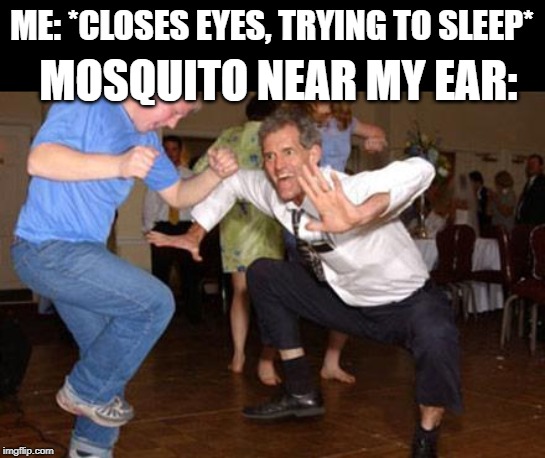 I just want to sleep... | ME: *CLOSES EYES, TRYING TO SLEEP*; MOSQUITO NEAR MY EAR: | image tagged in funny dancing,mosquito,memes,funny,random,sleep | made w/ Imgflip meme maker