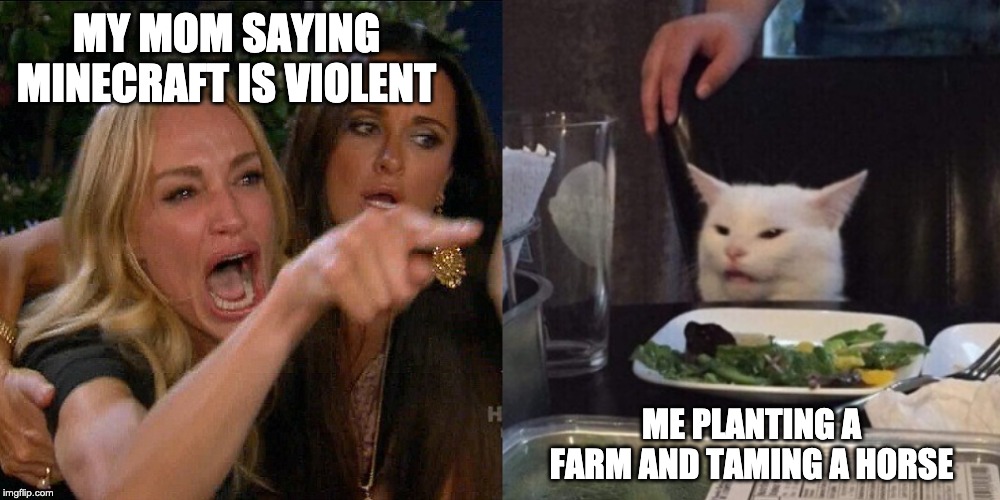 Woman yelling at cat | MY MOM SAYING MINECRAFT IS VIOLENT; ME PLANTING A FARM AND TAMING A HORSE | image tagged in woman yelling at cat | made w/ Imgflip meme maker