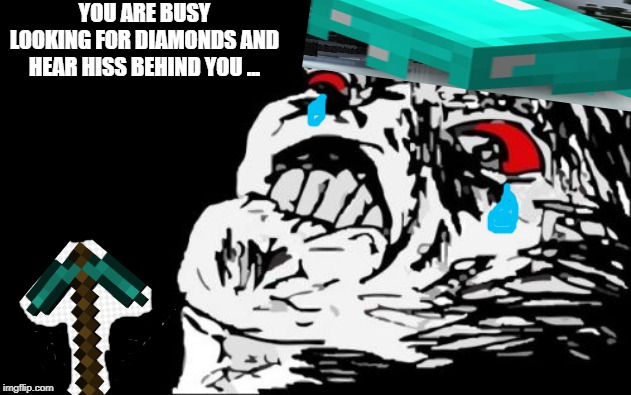 Mega Rage Face | YOU ARE BUSY LOOKING FOR DIAMONDS AND HEAR HISS BEHIND YOU ... | image tagged in memes,mega rage face | made w/ Imgflip meme maker