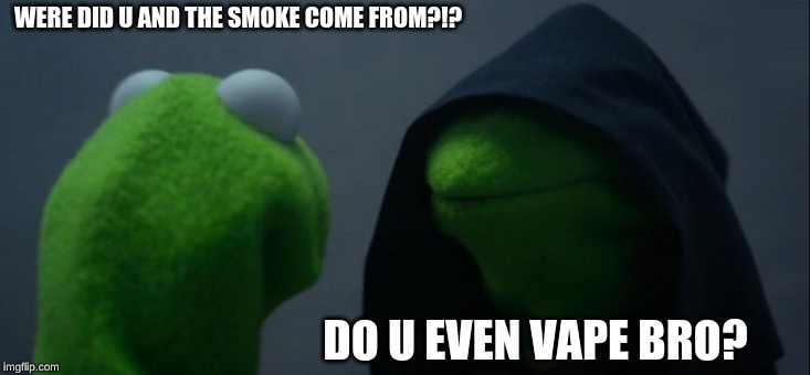 Evil Kermit | WERE DID U AND THE SMOKE COME FROM?!? DO U EVEN VAPE BRO? | image tagged in memes,evil kermit | made w/ Imgflip meme maker
