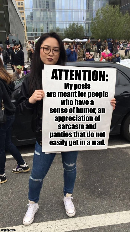 Political memes are meant to be somewhat humorous and sarcastic | ATTENTION:; My posts are meant for people who have a sense of humor, an appreciation of sarcasm and panties that do not easily get in a wad. | image tagged in protestor | made w/ Imgflip meme maker