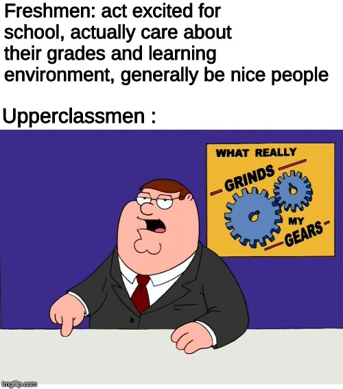 You know what really grinds my gears | Freshmen: act excited for school, actually care about their grades and learning environment, generally be nice people; Upperclassmen : | image tagged in you know what really grinds my gears | made w/ Imgflip meme maker