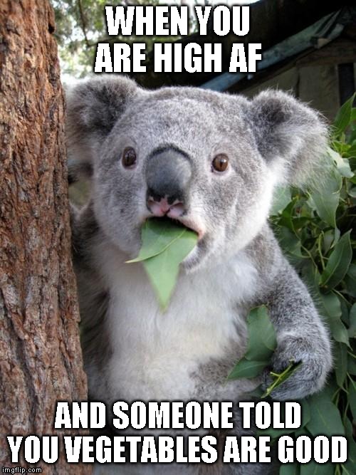 Surprised Koala Meme | WHEN YOU ARE HIGH AF; AND SOMEONE TOLD YOU VEGETABLES ARE GOOD | image tagged in memes,surprised koala | made w/ Imgflip meme maker