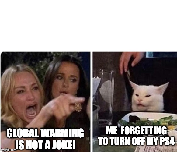 Ladies Yelling at Confused Cat | ME  FORGETTING TO TURN OFF MY PS4; GLOBAL WARMING IS NOT A JOKE! | image tagged in ladies yelling at confused cat | made w/ Imgflip meme maker