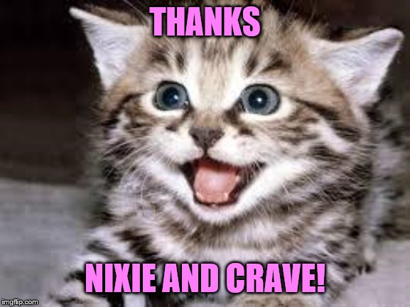happy cat | THANKS NIXIE AND CRAVE! | image tagged in happy cat | made w/ Imgflip meme maker