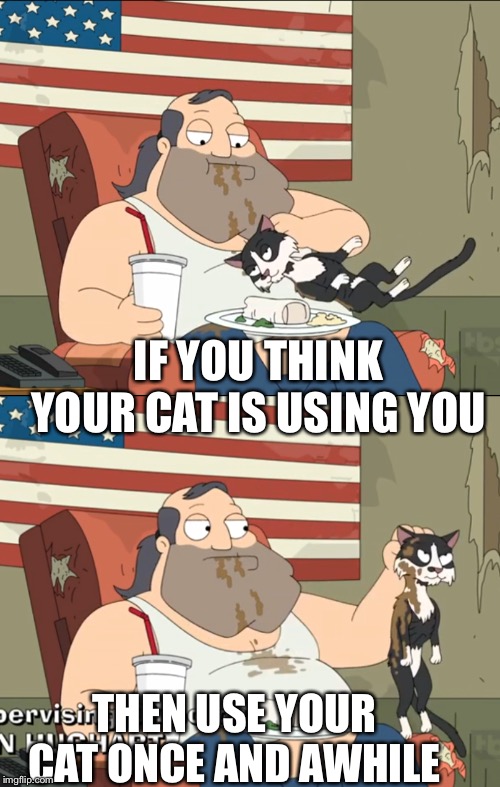 It cleans itself, what more do you want me to say | IF YOU THINK YOUR CAT IS USING YOU; THEN USE YOUR CAT ONCE AND AWHILE | made w/ Imgflip meme maker