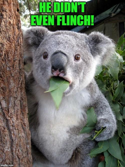 Surprised Koala Meme | HE DIDN'T EVEN FLINCH! | image tagged in memes,surprised koala | made w/ Imgflip meme maker