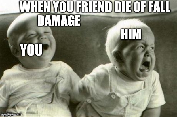 Lol baby vs WTF baby | WHEN YOU FRIEND DIE OF FALL DAMAGE                               
                               HIM; YOU | image tagged in lol baby vs wtf baby | made w/ Imgflip meme maker
