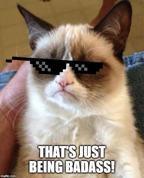 Grumpy Cat Meme | THAT'S JUST BEING BADASS! | image tagged in memes,grumpy cat | made w/ Imgflip meme maker