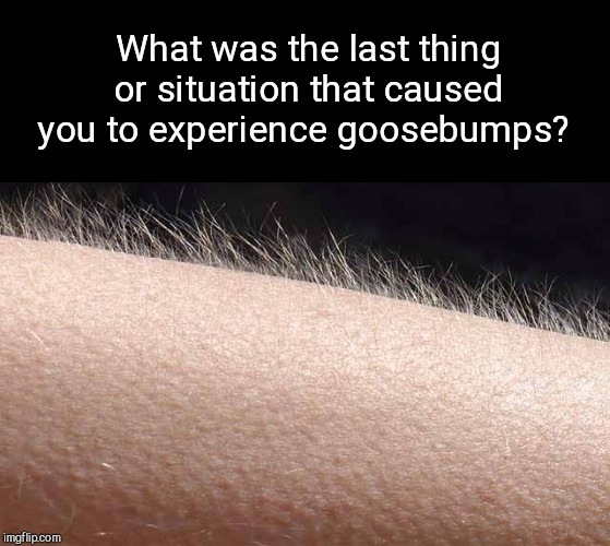 What was last thing or situation.. | What was the last thing or situation that caused you to experience goosebumps? | image tagged in goosebumps,chills,thrills,fright | made w/ Imgflip meme maker