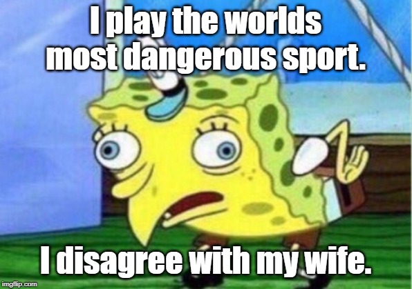 worlds most dangerous sport | I play the worlds most dangerous sport. I disagree with my wife. | image tagged in sport | made w/ Imgflip meme maker