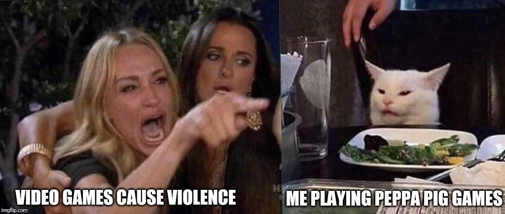 woman yelling at cat | ME PLAYING PEPPA PIG GAMES; VIDEO GAMES CAUSE VIOLENCE | image tagged in woman yelling at cat | made w/ Imgflip meme maker