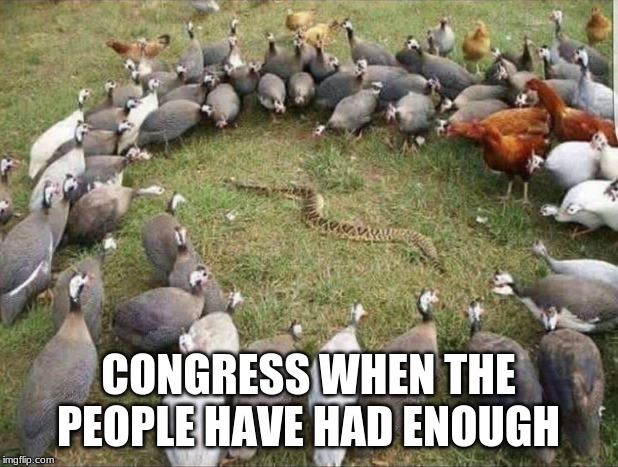United we Stand | CONGRESS WHEN THE PEOPLE HAVE HAD ENOUGH | image tagged in congress when the people have had enough,bully them back,stand together,united we stand,diversity,power to the people | made w/ Imgflip meme maker