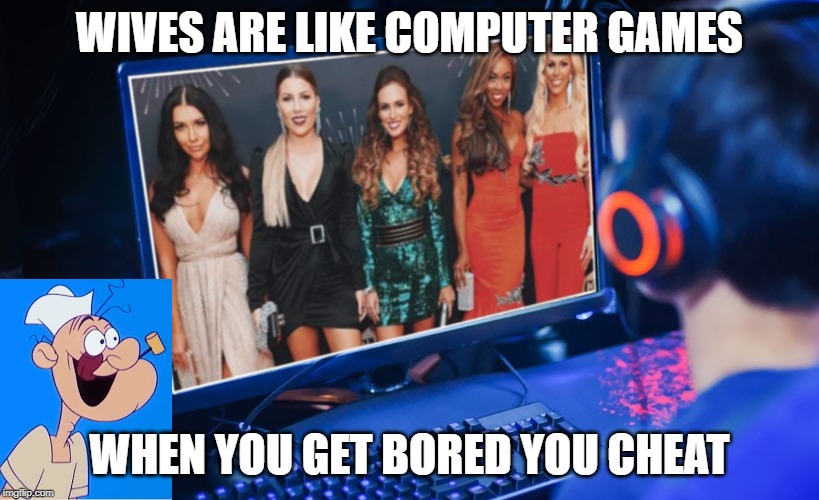 Computer Game | WIVES ARE LIKE COMPUTER GAMES; WHEN YOU GET BORED YOU CHEAT | image tagged in games | made w/ Imgflip meme maker