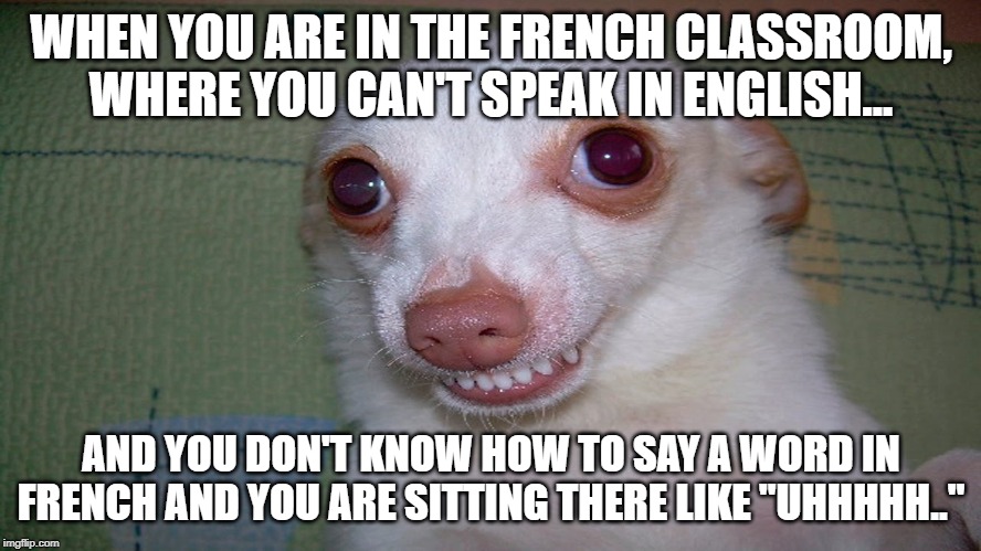embarrassed grin | WHEN YOU ARE IN THE FRENCH CLASSROOM, WHERE YOU CAN'T SPEAK IN ENGLISH... AND YOU DON'T KNOW HOW TO SAY A WORD IN FRENCH AND YOU ARE SITTING THERE LIKE "UHHHHH.." | image tagged in embarrassed grin | made w/ Imgflip meme maker