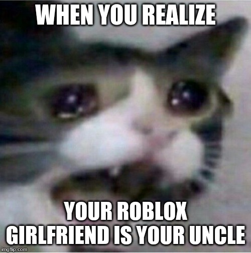 crying cat | WHEN YOU REALIZE; YOUR ROBLOX GIRLFRIEND IS YOUR UNCLE | image tagged in crying cat | made w/ Imgflip meme maker