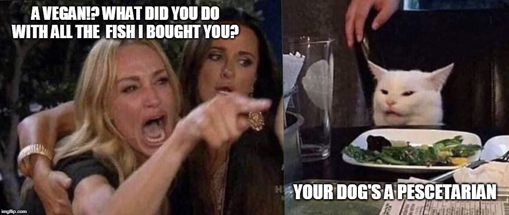 woman yelling at cat | A VEGAN!? WHAT DID YOU DO WITH ALL THE  FISH I BOUGHT YOU? YOUR DOG'S A PESCETARIAN | image tagged in woman yelling at cat | made w/ Imgflip meme maker