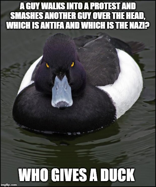 Angry duck | A GUY WALKS INTO A PROTEST AND SMASHES ANOTHER GUY OVER THE HEAD, WHICH IS ANTIFA AND WHICH IS THE NAZI? WHO GIVES A DUCK | image tagged in angry duck | made w/ Imgflip meme maker
